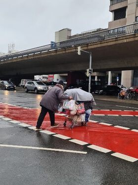 Gast mit vollgepacktem Einkaufswagen